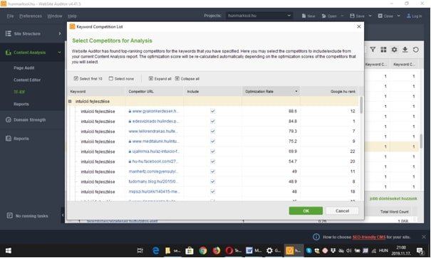 Website-Auditor2.jpg