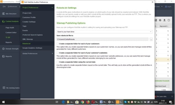 Website-Auditor4.jpg
